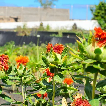 Ferienhaus Casa Angeles 2 Mozaga