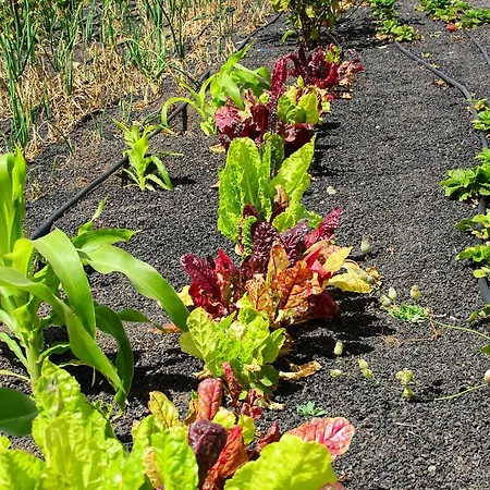 Casa Angeles 2 Ferienhaus