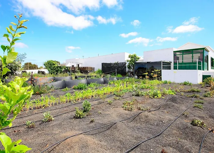 Casa Angeles 2 * Mozaga