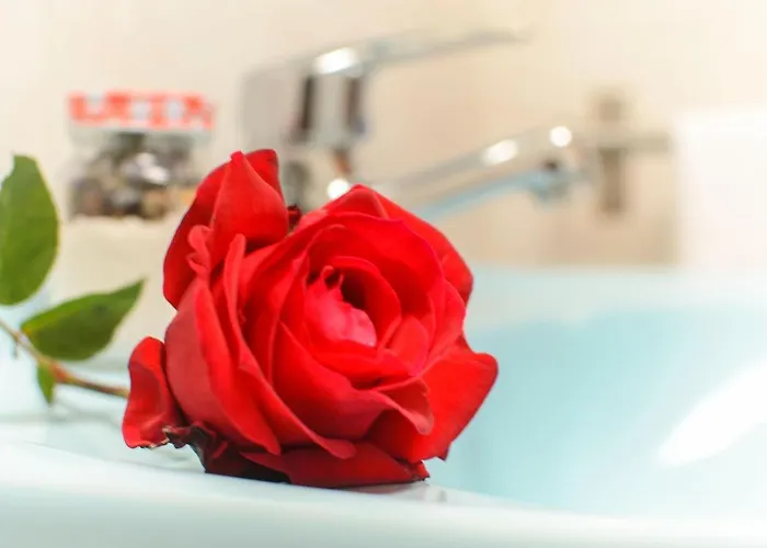 Casa Angeles 2 * Mozaga