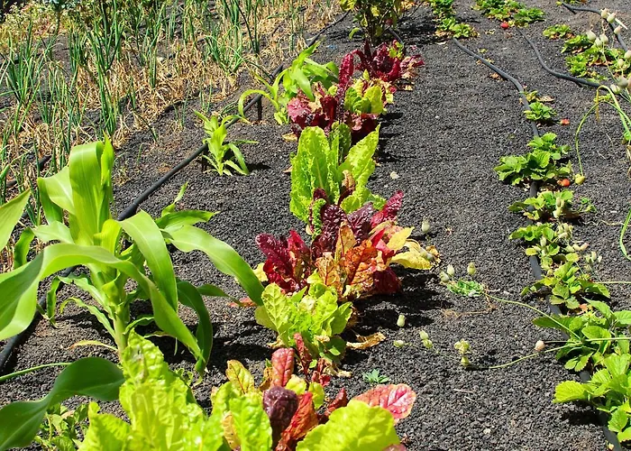 Casa Angeles 2 Сasa de vacaciones